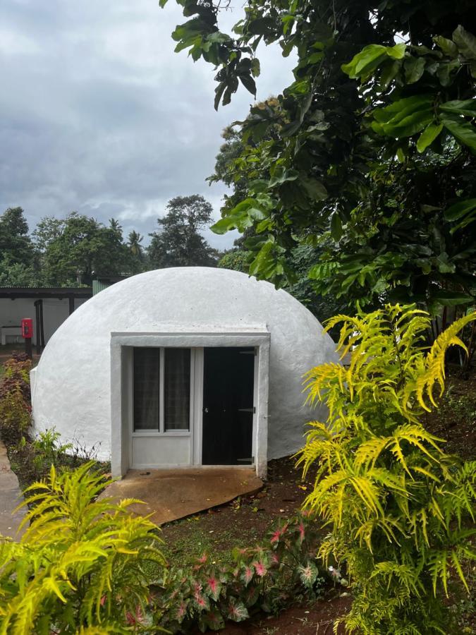 Camp Taveuni Hostel Matei Bagian luar foto